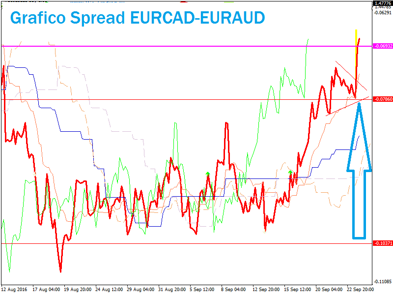 grafici e segnali forex
